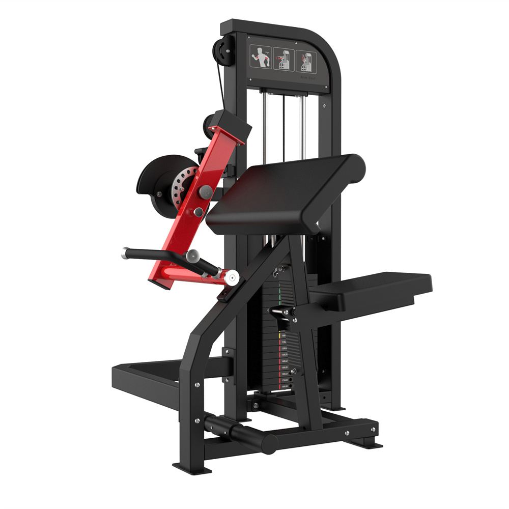 BICEP CURL / TRICEP EXTENSION