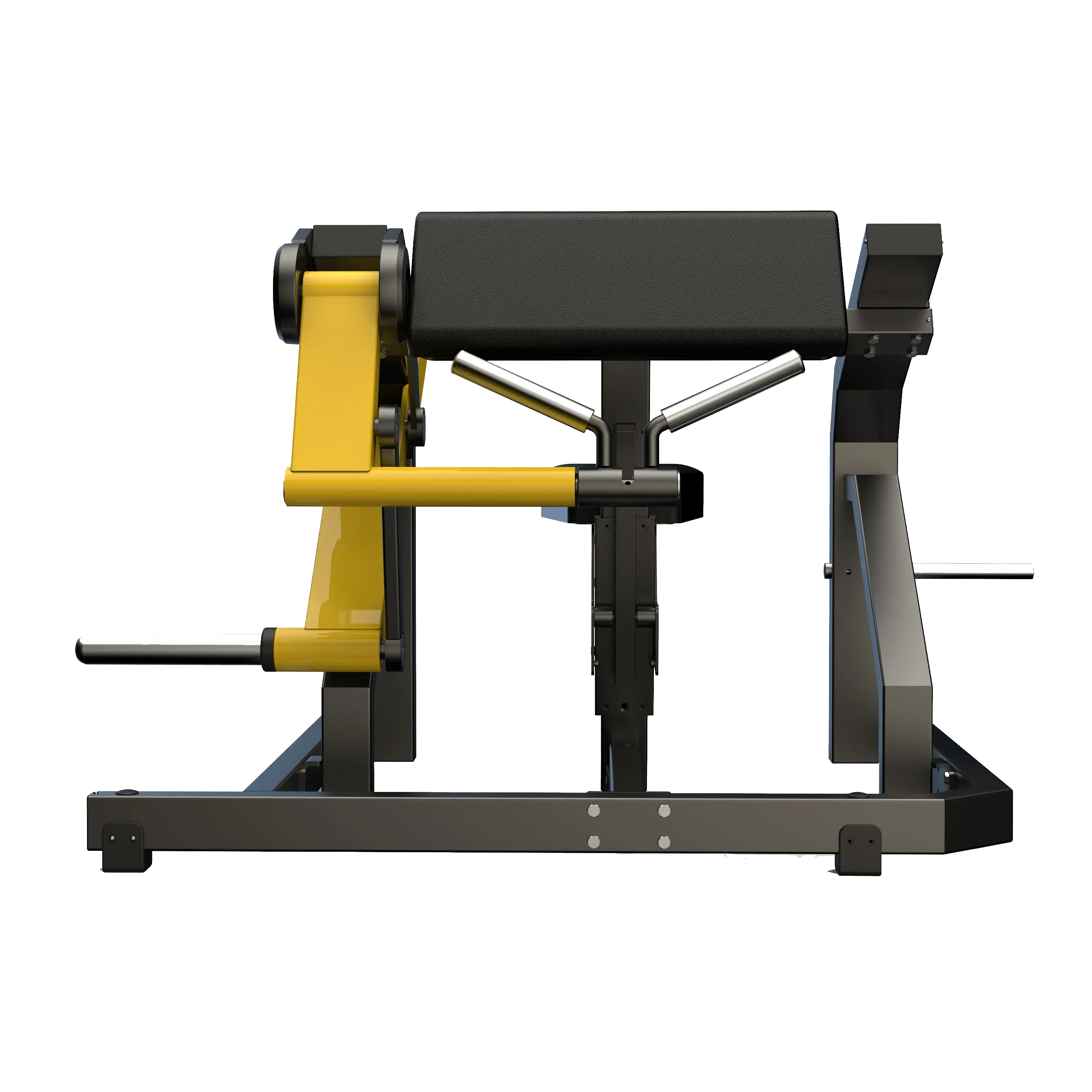 BICEP CURL