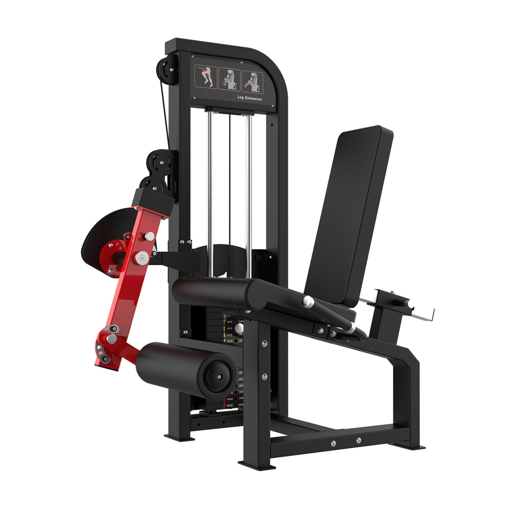 SEATED LEG EXTENSION
